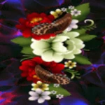 butterflies flowers lwp android application logo